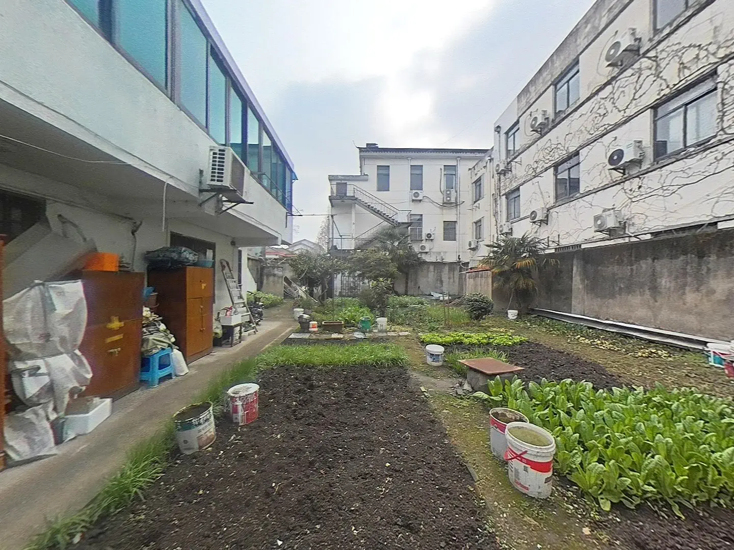 长洲路独门独户私房，占地360㎡